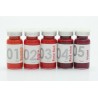Pigento Vivid Labbra Bella Instruments