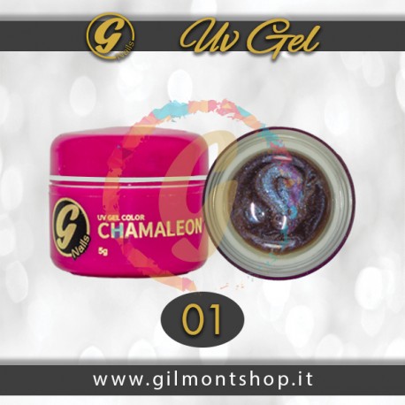 CHAMALEON09